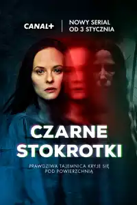 Странные Ангелы 2025 все серии подряд